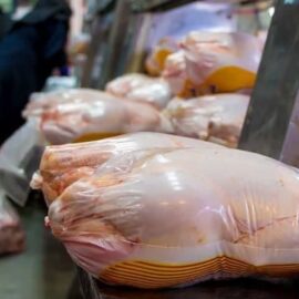 توزیع ۱۹۰ تن گوشت مرغ در مناطق حاشیه‌ای و کمتر برخوردار استان کرمان