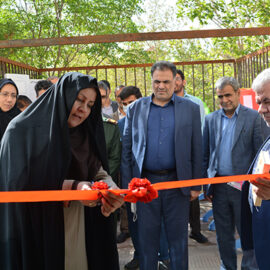افتتاحیه نمایشگاه جابربن حیان در شهرستان رفسنجان توسط مدیریت آموزش و پرورش
