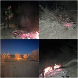 قطع و آتش زدن درختان جنگلی با هدف تصرف اراضی ملی در منطقه فردوسیه آزادگان