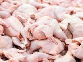 توزیع مرغ منجمد ، روز یکشنبه ۱۴۰۲/۲/۳۱ با قیمت هر کیلو ۴۵۰۰۰ تومان