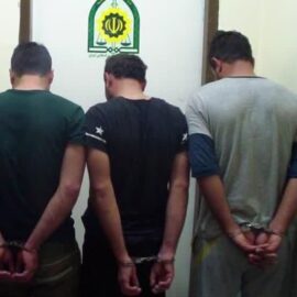 دستگیری ۱۸ سارق پسته از ابتدای شهریور ماه در رفسنجان